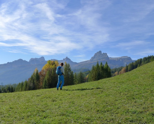 Wanderungen im Tal über Wiesen und durch Wälder