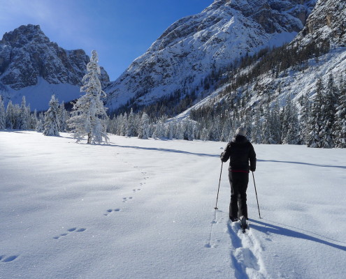 Winterwanderungen